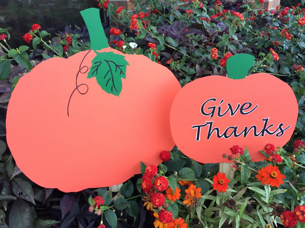 Give Thanks for what we have